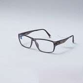 Óculos de Grau Zeiss 20005 Marrom