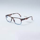Óculos de Grau Zeiss 20006 Marrom e Azul