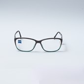 Óculos de Grau Zeiss ZS 10005 F152 Marrom e Verde